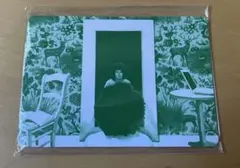 太*様 まともがわからない　坂本慎太郎　7インチ SHINTARO SAKAMOTO 坂本慎太郎 / まともがわからない – TICRO MARKET