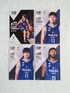 Item thumbnail for item 65617fea-d6a6-40fb-a883-3925d6fab518