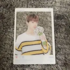 SEVENTEEN HARU トレカ ディノ