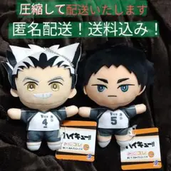 【匿名配送】ハイキュー!!　みにコレ！ぬいぐるみ２体セット　木兎光太郎＆赤葦京治