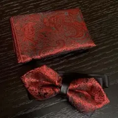 【セット売】二重 蝶ネクタイ ポケット チーフ ペイズリー レッド