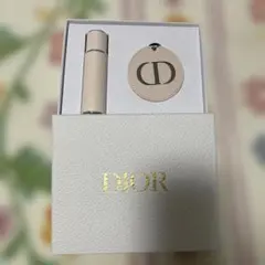 今だけセール‼️レザーDior 鏡と香水ボトルセット