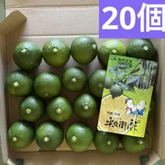 宮崎県産 平兵衛酢 へべす 柑橘類 約１kgのサムネイル