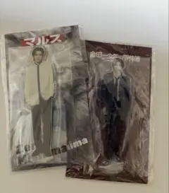 道枝駿佑　アクスタ