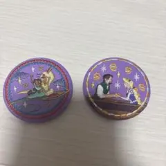 【値下げ5/15まで】ディズニー 刺繍缶バッジ 第1弾 アラジン ラプンツェル