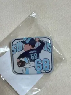 2026年最新】丸山翔大の人気アイテム - メルカリ