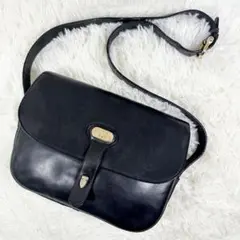 希少　セリーヌ　ショルダーバッグ　トリオンフ金具　オールレザー　ブラック　黒