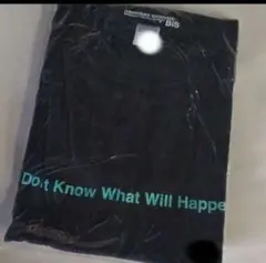 BiS サイズ 各サイズ Tシャツ 新品 送料無料 完売品