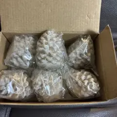 松ぼっくり 白6個セット ホワイト 新品 クリスマス