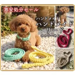 ハンドメイド ミントグリーン リード&首輪セット　xs