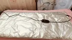 Item thumbnail for item 7155d907-1acf-4c8d-99c2-49cf4572ea3c