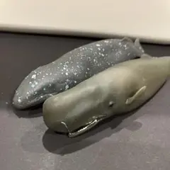 まとめ売り くじら　&co デアゴスティーニ　アンドコ