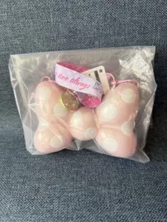 新品 ミニスナックケース ミニー ディズニーパルパルーザミニーのファンダーランド