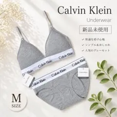 【新品】✨Calvin Klein ブラジャー ショーツ セット グレー Mのサムネイル