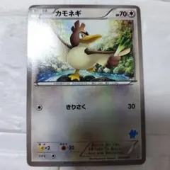 カモネギ HXY はじめてセット 025/039