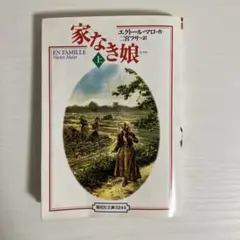 01141490 家なき娘 完訳版 上