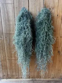 Rino様 リクエスト 3点 まとめ商品