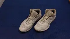 ASICS GELHOOPV15 バスケットシューズ スタンダード