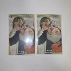 にじさんじ ルカカネシロ Rainy Day Laundryチェキ2枚セット