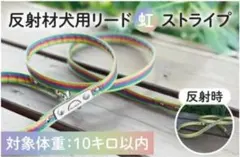 Item thumbnail for item 31131ee1-39b9-4711-b692-7373760c6692