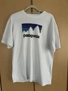 patagonia ホワイト Tシャツ 山デザイン