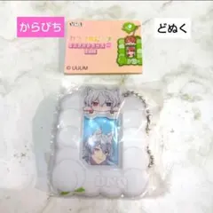 カラフルピーチ、ミニフォトケース、どぬく