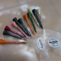 Item thumbnail for item 6c471a1e-7ffb-4055-a36b-d27b6130ea60