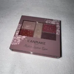 CANMAKE パーフェクトスタイリストアイズ 14