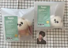 2025年最新】txt プルバトゥ バムグッの人気アイテム - メルカリ