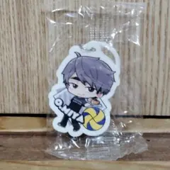 くら寿司 ハイキュー！！ 宮治【新品、未開封】