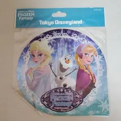 東京ディズニーランド　アナと雪の女王　フローズンファンタジー　ステッカー