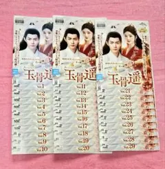 ⭐肖战主演⭐【玉骨遥】全話　レンタル落ち