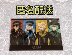 【匿名配送】ヴァリアー ロフト ブロマイド