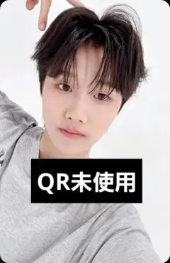 idntt objekt QR未使用 ファニ s217a