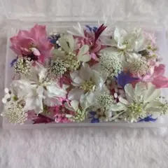 紫陽花 ドライフラワー詰め合わせ No.950 - メルカリ