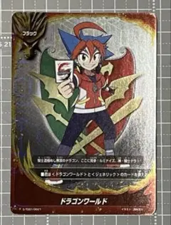 バディファイト】ドラゴンワールド 262068 - メルカリ
