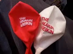YTFF HIKAKIN SEIKIN 風船