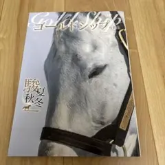 ゴールドシップ写真集 駿夏秋冬