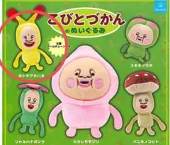 新品 こびとづかん ぬいぐるみ ホトケアカバネ ガチャ
