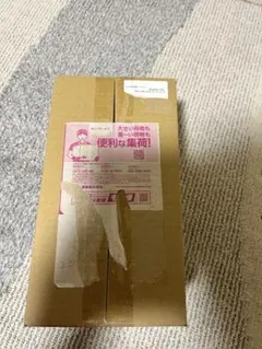 ポケモンセンター ヒロシマ スペシャルBOX