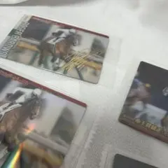 競馬トレーディングカードセット
