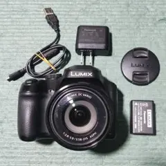 2026年最新】dc-fz85の人気アイテム - メルカリ