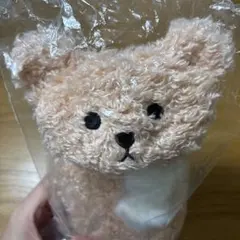 【新品未開封】ベアフル ボトルケース