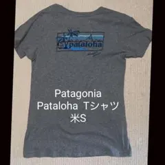 Patagonia Pataloha Tシャツ 米S グレー