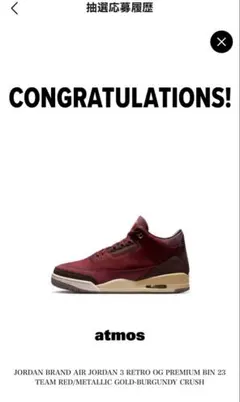 希少 限定2300足 Nike Air Jordan 3