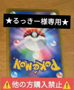 ★るっきーさま専用★⚠️他の方購入禁止⚠️