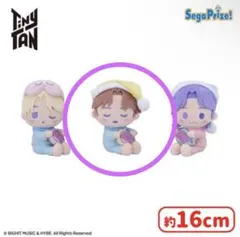 TinyTAN V のほほんと♪ぬいぐるみSweetDreams　BTS V