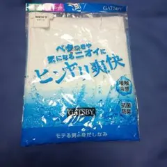 GATSBY L メンズ Vネック半袖 シャツ Lサイズ 接触冷感 抗菌防臭