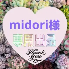 midori様 リクエスト 2点 まとめ商品
