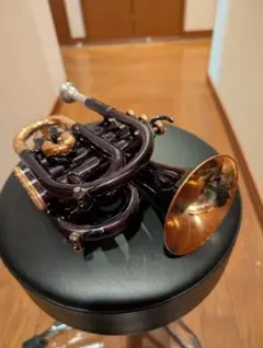 2025年最新】jupiter ポケットトランペットの人気アイテム